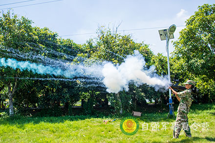 迫擊炮、火箭筒